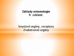 Zklady entomologie 9 cvien Smyslov orgny receptory Zvukotvorn