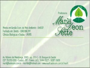 ZONEAMENTO AMBIENTAL Professora Ms Marli Deon Sette 2013