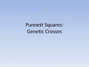 Punnett Squares Genetic Crosses Making Genetic Predictions Mendel