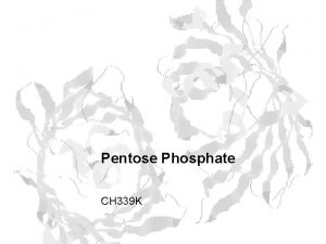 Pentose Phosphate CH 339 K Pentose Phosphate An