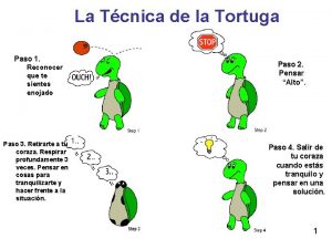 Tortuga teodora