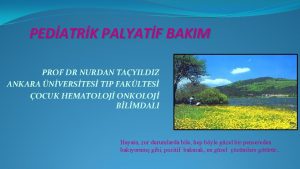 PEDATRK PALYATF BAKIM PROF DR NURDAN TAYILDIZ ANKARA