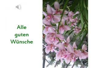 Ich wünsche dir durchhaltevermögen