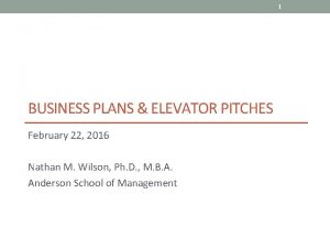 1 BUSINESS PLANS ELEVATOR PITCHES February 22 2016