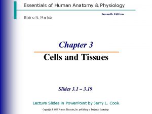 Essentials of Human Anatomy Physiology Seventh Edition Elaine