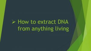 How to extract dna from anything living