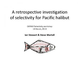 A retrospective investigation of selectivity for Pacific halibut