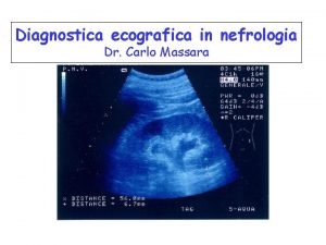 Etg reno vescicale