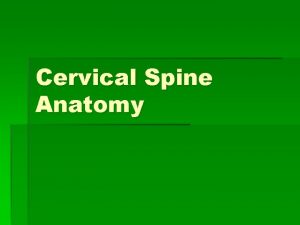 Cervical Spine Anatomy General Vertebral Anatomy Body Vertebral