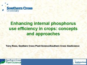 Enhancing internal phosphorus use efficiency in crops concepts