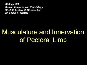 Biology 223 Human Anatomy and Physiology Week 6