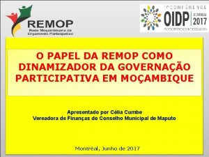 O PAPEL DA REMOP COMO DINAMIZADOR DA GOVERNAO