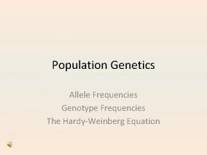 Population Genetics Allele Frequencies Genotype Frequencies The HardyWeinberg
