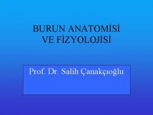 BURUN ANATOMS VE FZYOLOJS Prof Dr Salih anakolu