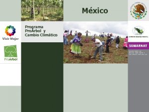 Mxico Programa Prorbol y Cambio Climtico CONTENIDO Presentacin