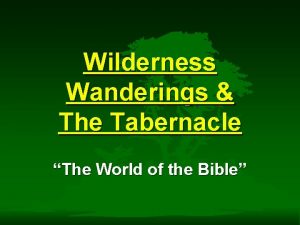 Wilderness Wanderings The Tabernacle The World of the