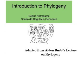 Introduction to Phylogeny Cdric Notredame Centro de Regulacio