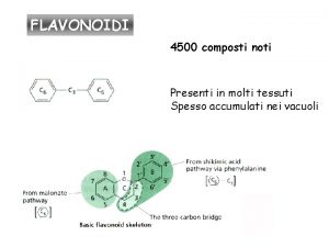 FLAVONOIDI 4500 composti noti Presenti in molti tessuti