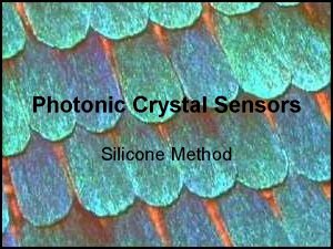 Photonic Crystal Sensors Silicone Method What are photonic