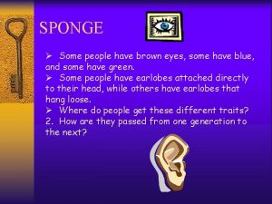 SPONGE Some people have brown eyes some have
