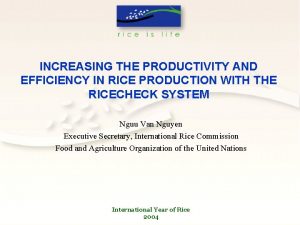 INCREASING THE PRODUCTIVITY AND EFFICIENCY IN RICE PRODUCTION