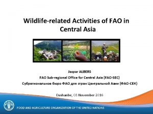 Wildliferelated Activities of FAO in Central Asia Jaspar