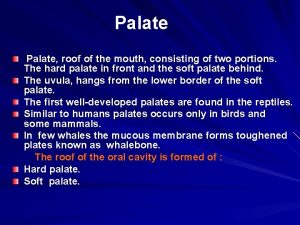 Palate roof of the mouth consisting of two