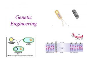 Genetic Engineering What is Genetic Engineering Genetic Engineering