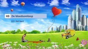 H 3 De bloedsomloop 3 Het hart Wat