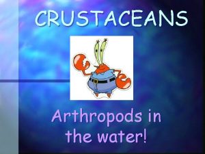 CRUSTACEANS Arthropods in the water All Arthropods have