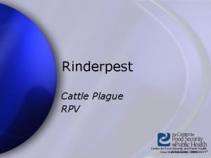 Rinderpest Cattle Plague RPV Center for Food Security