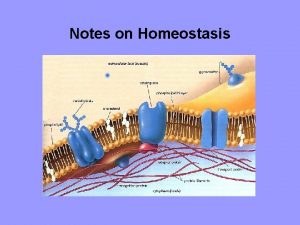 Notes on Homeostasis Homeostasis biological balance cells keeping