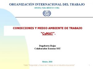 ORGANIZACIN INTERNACIONAL DEL TRABAJO OFICINA PARA MXICO Y