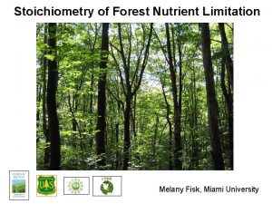 Stoichiometry of Forest Nutrient Limitation Melany Fisk Miami