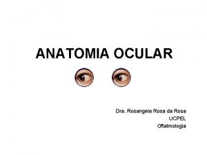 ANATOMIA OCULAR Dra Rosangela Rosa da Rosa UCPEL ANATOMIA OCULAR Dra Rosangela Rosa da Rosa UCPEL