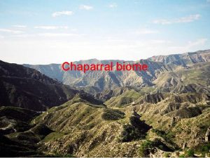 Chaparral biome location