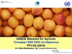 UNECE Standard for Apricots FFV02 2010 Dr Ulrike