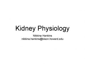 Kidney Physiology Nikkina Hankins nikkina hankinsbison howard edu