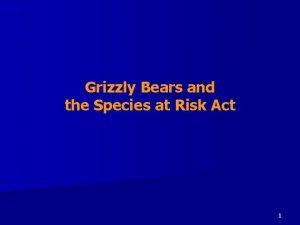 Grizzly Bears and the Species at Risk Act