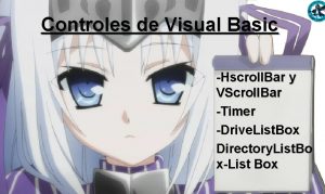 Todos los controles de visual basic