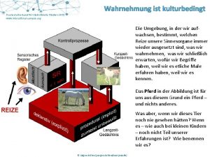 Wahrnehmung ist kulturbedingt Hochschulverband fr Interkulturelle Studien IKS