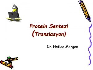 Protein Sentezi Translasyon Dr Hatice Mergen Protein Metabolizmas