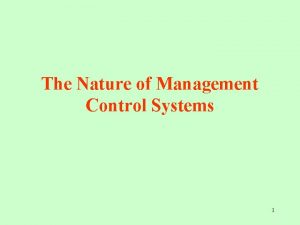 Nature of management control system