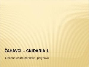 AHAVCI CNIDARIA 1 Obecn charakteristika polypovci NZEV KOLY