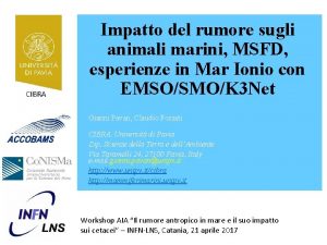 CIBRA Impatto del rumore sugli animali marini MSFD