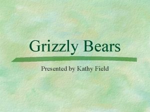 Grizzly Bears Presented by Kathy Field The Bear