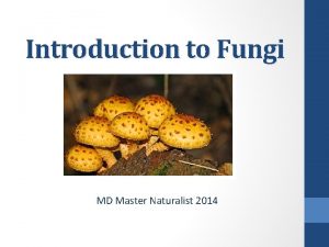 Introduction to Fungi MD Master Naturalist 2014 Characteristics