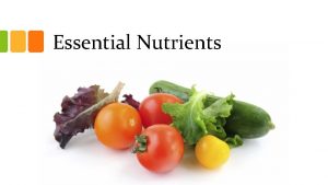 Essential Nutrients Carbohydrates The bodys main source of