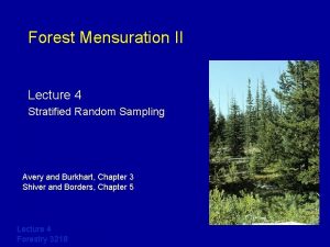 Forest Mensuration II Lecture 4 Stratified Random Sampling