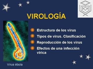 VIROLOGA Estructura de los virus Tipos de virus